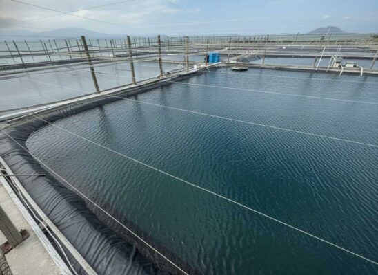 Hợp tác vùng nuôi trồng thủy sản cho xuất khẩu