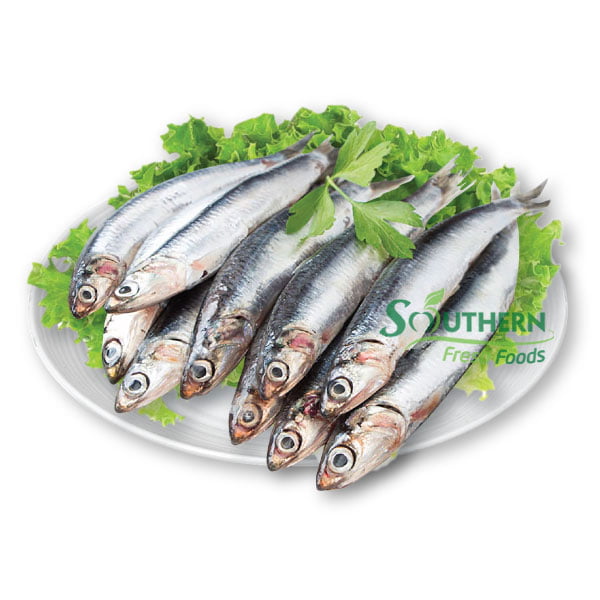 Frozen Blue Anchovy WR (Wild Caught) SOUTHERN FRESH FOODS CO., LTD