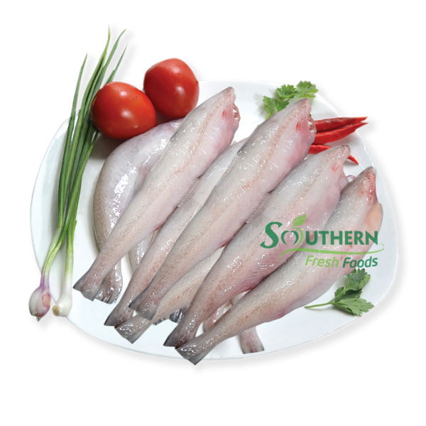 Frozen Bombay Duck Fish GG (Wild Caught) SOUTHERN FRESH FOODS CO., LTD