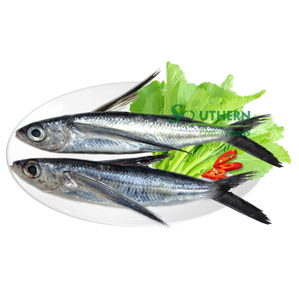 Flying Fish SOUTHERN FRESH FOODS CO., LTD