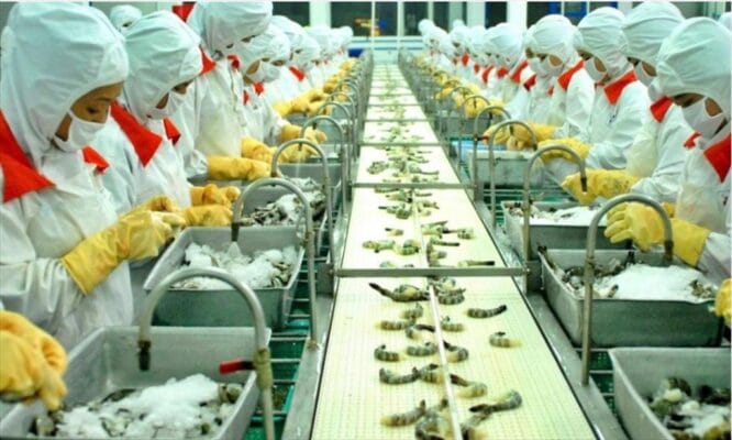 Vietnam Seafood Exports Soar in 2025 as China Takes Lead
